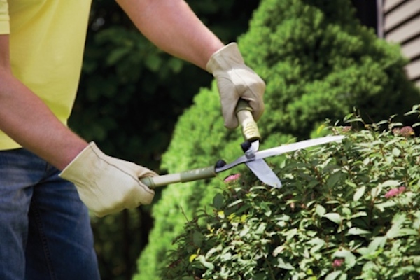 Bethel Landscaper